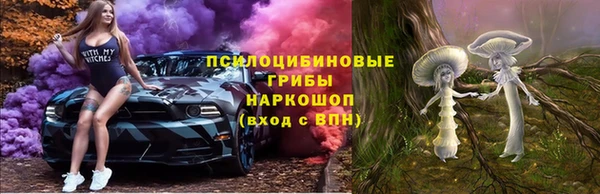 PSILOCYBIN Мегион